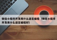 微信小程序開發(fā)用什么語言編程（微信小程序開發(fā)用什么語言編程好）