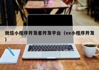 微信小程序開發(fā)者開發(fā)平臺(tái)（vx小程序開發(fā)）