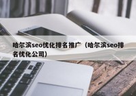 哈爾濱seo優(yōu)化排名推廣（哈爾濱seo排名優(yōu)化公司）