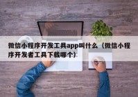 微信小程序開發(fā)工具app叫什么（微信小程序開發(fā)者工具下載哪個）