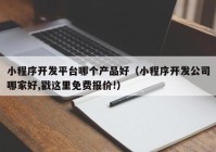 小程序開發(fā)平臺(tái)哪個(gè)產(chǎn)品好（小程序開發(fā)公司哪家好,戳這里免費(fèi)報(bào)價(jià)!）