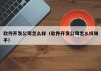 軟件開(kāi)發(fā)公司怎么樣（軟件開(kāi)發(fā)公司怎么樣知乎）