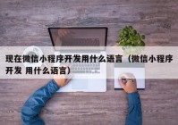 現(xiàn)在微信小程序開發(fā)用什么語言（微信小程序開發(fā) 用什么語言）