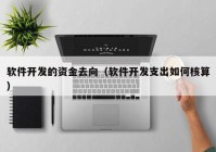 軟件開發(fā)的資金去向（軟件開發(fā)支出如何核算）