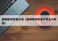 昆明軟件開發(fā)公司（昆明軟件開發(fā)公司五六科技）