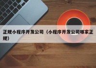 正規(guī)小程序開發(fā)公司（小程序開發(fā)公司哪家正規(guī)）