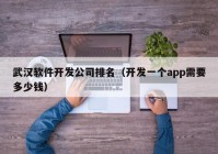 武漢軟件開發(fā)公司排名（開發(fā)一個app需要多少錢）