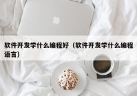 軟件開發(fā)學什么編程好（軟件開發(fā)學什么編程語言）