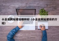 小企業(yè)網(wǎng)站建設哪種好（小企業(yè)網(wǎng)站建設的介紹）