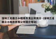 深圳三足鼎立小程序開發(fā)公司簡介（深圳三足鼎立小程序開發(fā)公司簡介電話）