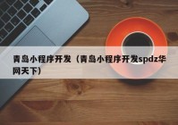 青島小程序開發(fā)（青島小程序開發(fā)spdz華網(wǎng)天下）