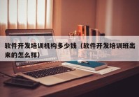 軟件開發(fā)培訓(xùn)機構(gòu)多少錢（軟件開發(fā)培訓(xùn)班出來的怎么樣）