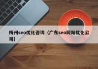 梅州seo優(yōu)化咨詢（廣東seo網(wǎng)站優(yōu)化公司）