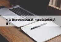 小企業(yè)seo優(yōu)化怎么選（seo企業(yè)優(yōu)化方案）