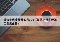 微信小程序開(kāi)發(fā)工具app（微信小程序開(kāi)發(fā)工具怎么用）