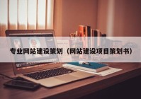 專業(yè)網(wǎng)站建設策劃（網(wǎng)站建設項目策劃書）