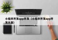 小程序開發(fā)app開發(fā)（小程序開發(fā)app開發(fā)方案）