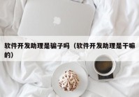 軟件開發(fā)助理是騙子嗎（軟件開發(fā)助理是干嘛的）