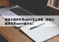 微信小程序開發(fā)appid怎么獲取（微信小程序開發(fā)appid是什么）