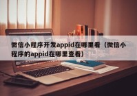 微信小程序開發(fā)appid在哪里看（微信小程序的appid在哪里查看）