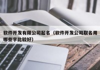 軟件開發(fā)有限公司起名（軟件開發(fā)公司取名用哪些字比較好）