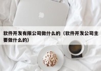 軟件開發(fā)有限公司做什么的（軟件開發(fā)公司主要做什么的）